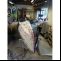 Skiff  Wanderpirat Picture 2 