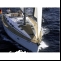 Yacht Bavaria 46&nbsp;Kroatien&nbsp;Mittelmeer Picture 1 